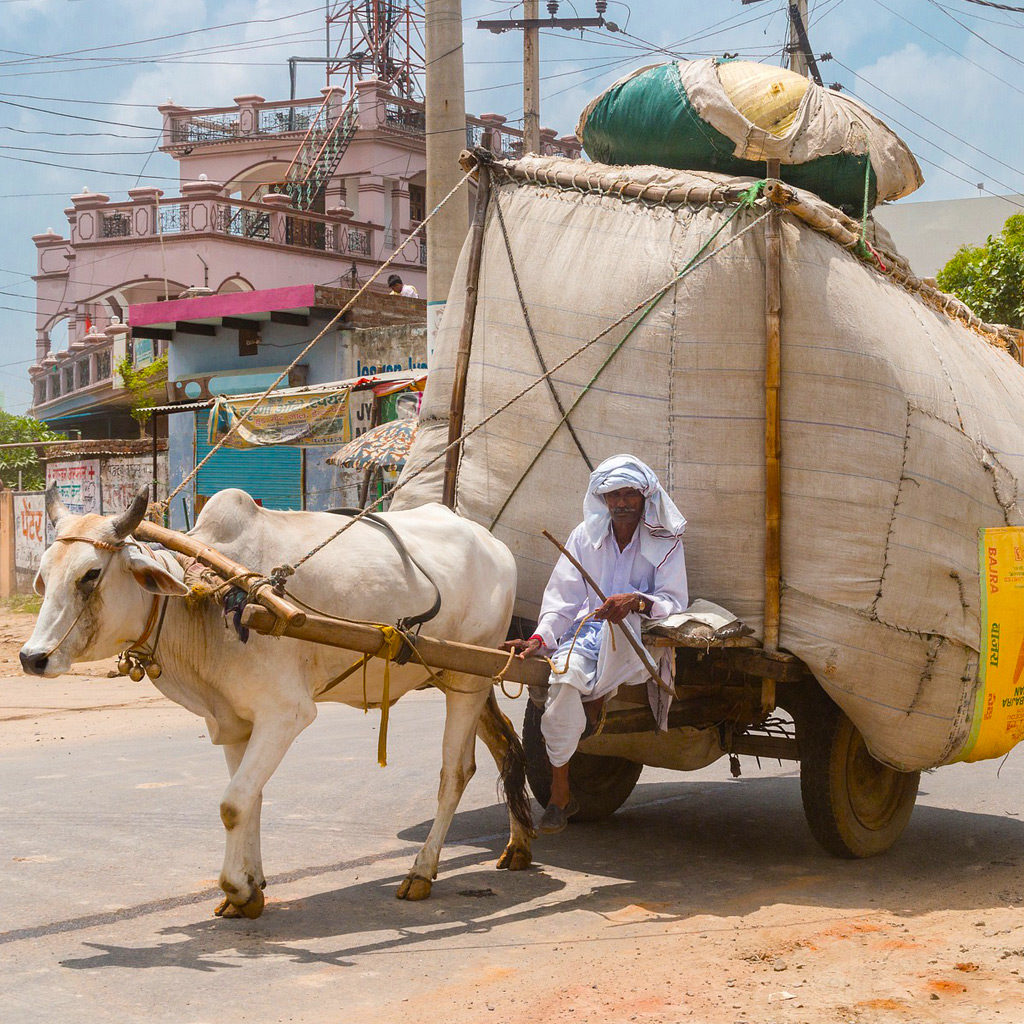 inde-homme-1024