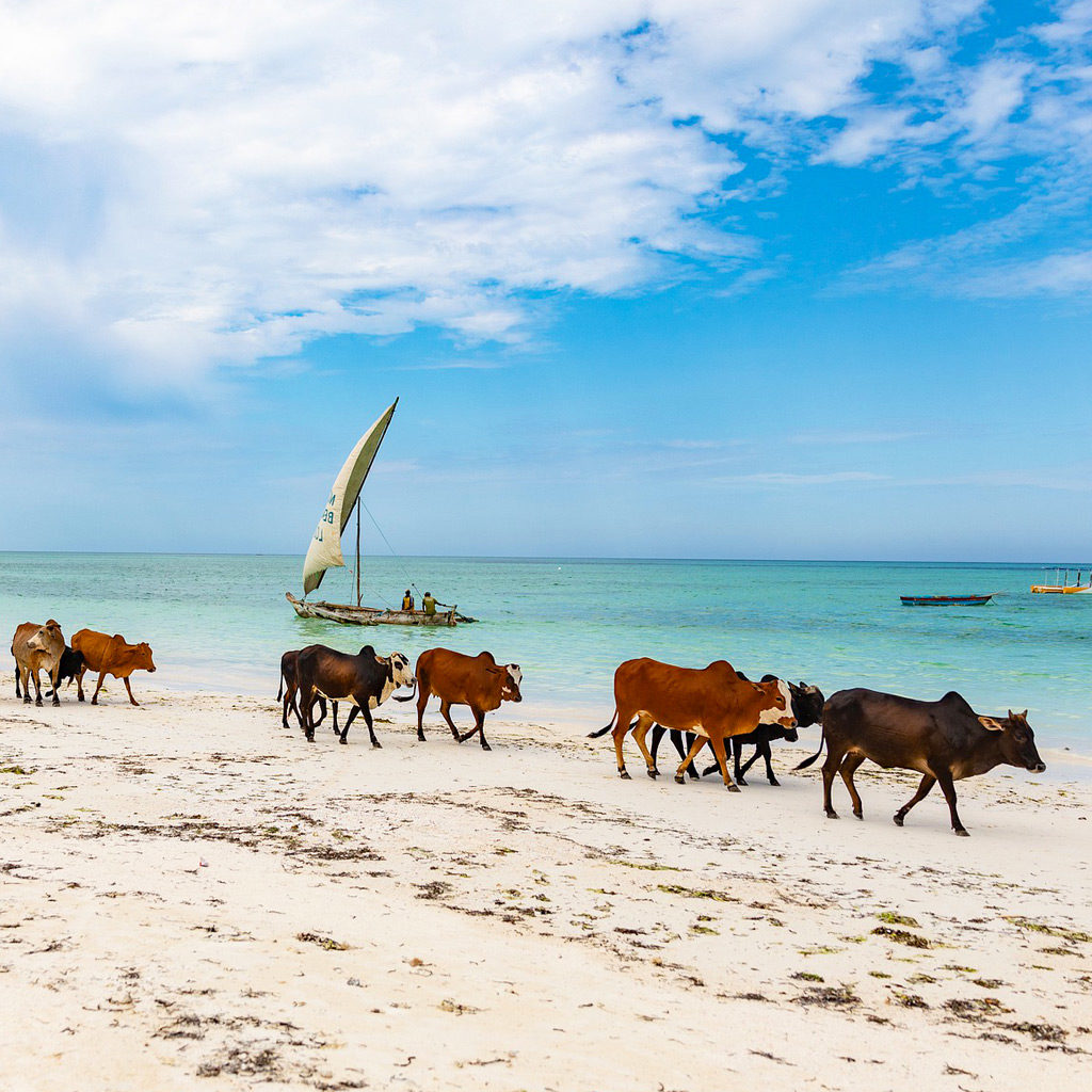 tanzanie-playa-1024