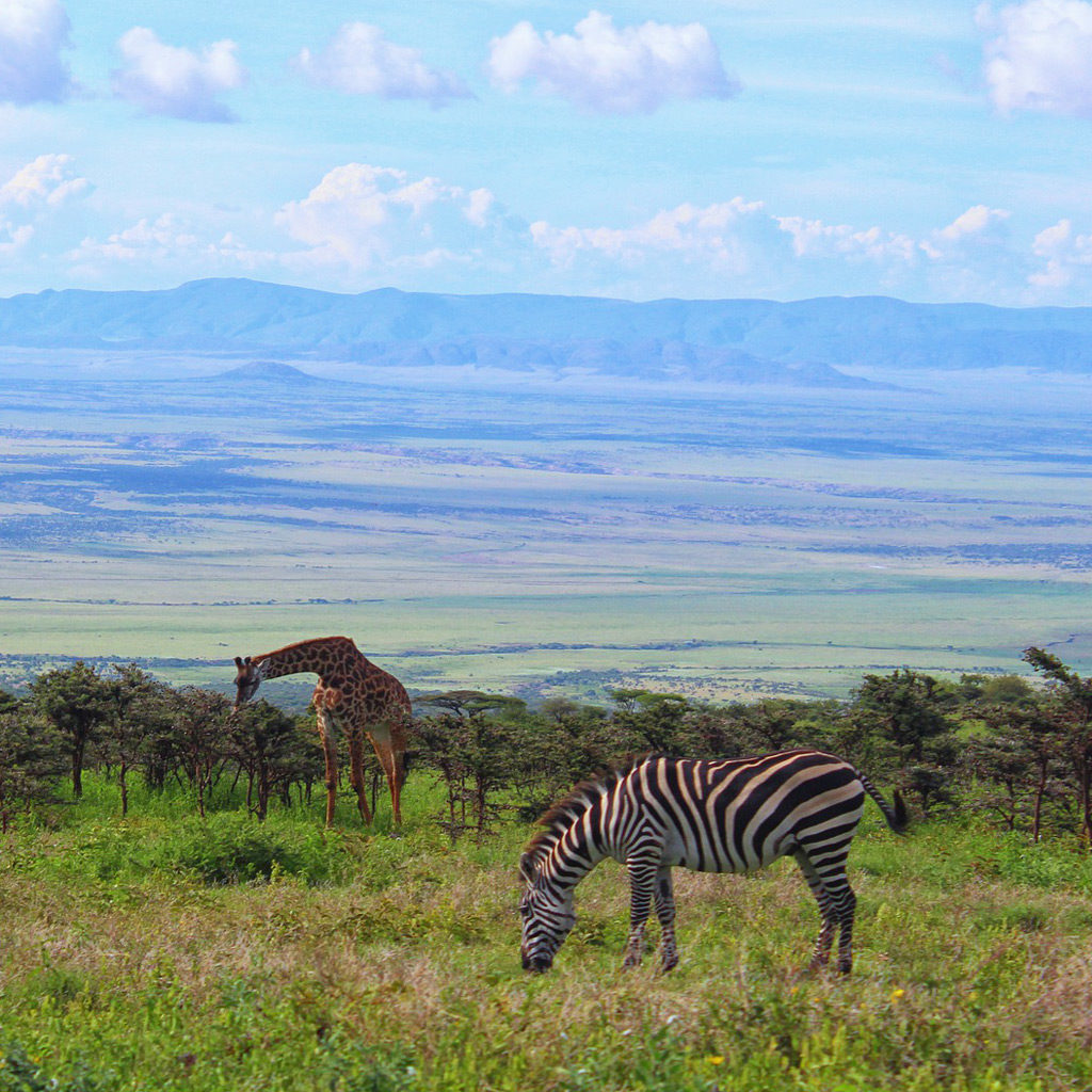 tanzanie-serengeti-1024