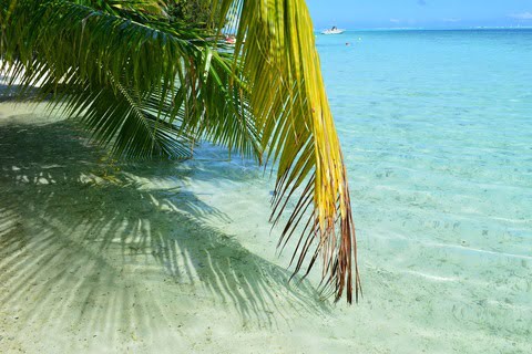 Voyage Polynésie sur mesure Rangiroa