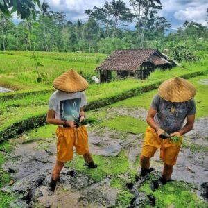 Voyage à Bali le récit de Serge et Corentin