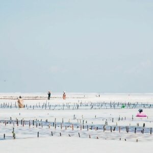 4 raisons d’aller à Zanzibar selon Lily