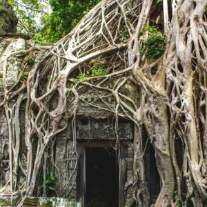 Fête du sillon sacré : Agkor Wat Cambodge