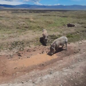 Partir en Tanzanie l'expérience d'Antonella