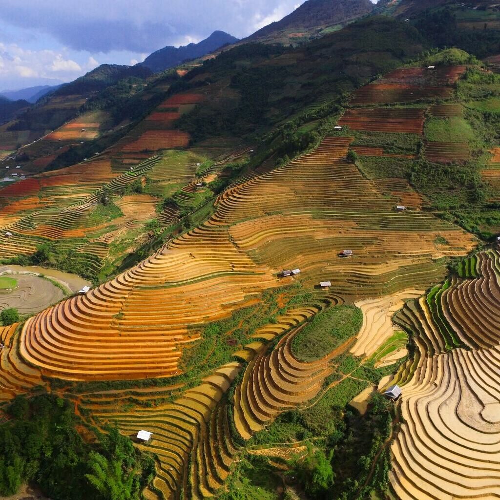 Chế-Cu-Nha-rizières-Vietnam