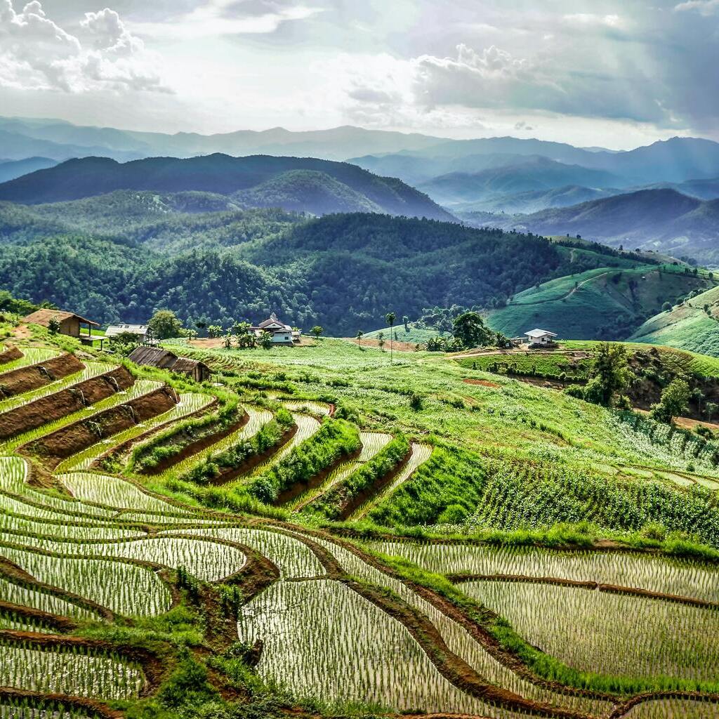 rizières-Mae-Chaem-Mueang-Pan-Thailande