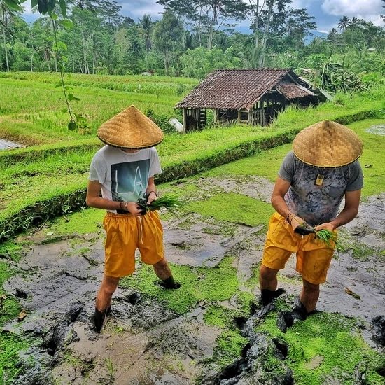 Vista-voyages-Bali