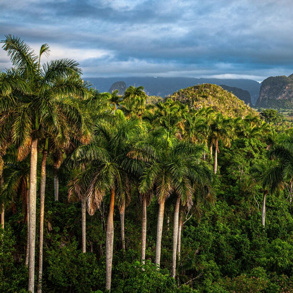 Vallée-de-Vinales-Cuba