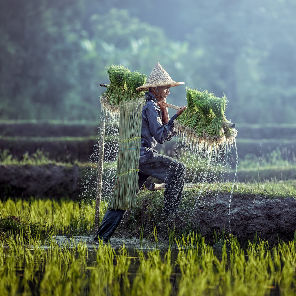 voyage-Cambodge