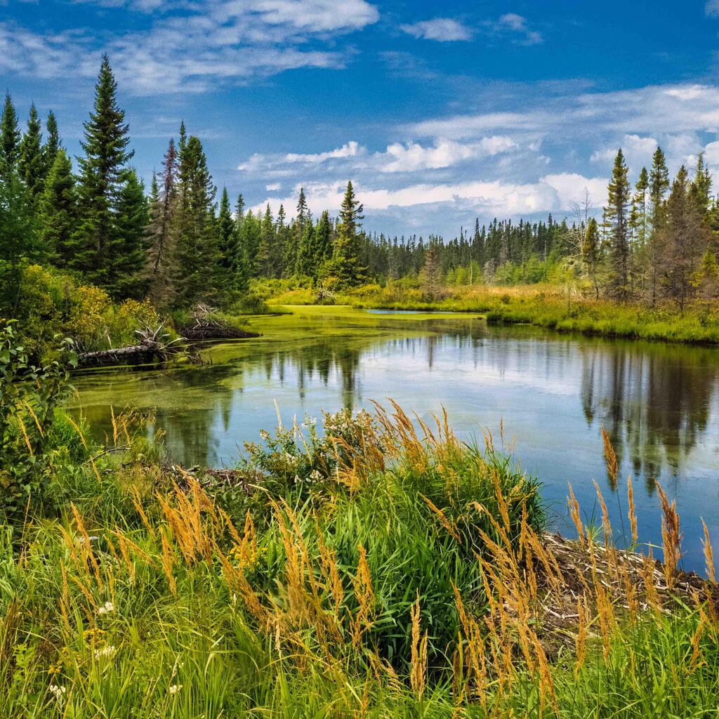 Lac-Saint-Jean-Canada